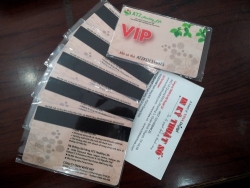 In thẻ nhựa VIP, in thẻ nhựa khuyến mãi, ưu đãi cuối năm cho shop, cửa hàng - Inthenhua.com
