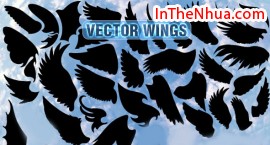 Thiết kế Vector Wings