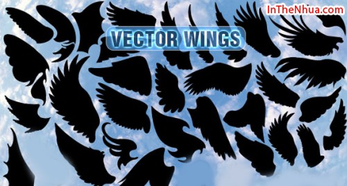 Thiết kế Vector Wings, 232, Minh Thiện, In Thẻ Nhựa, 28/06/2016 11:05:20
